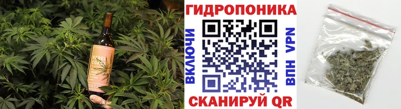 Canna-Cookies марихуана  Сортавала 